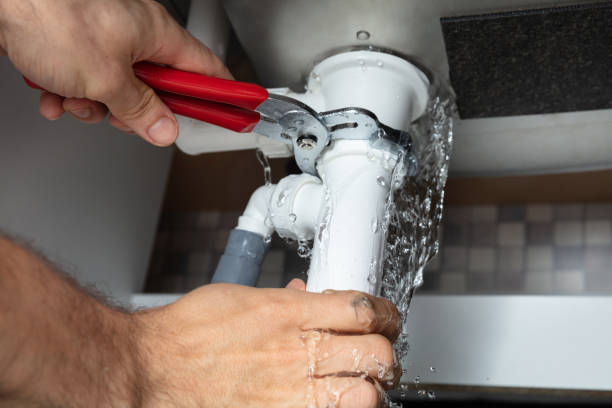 Best Emergency water extraction  in Topaz Ranch Estates, NV