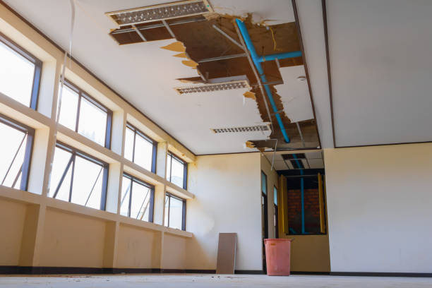 Best Water damage restoration near me  in Topaz Ranch Estates, NV