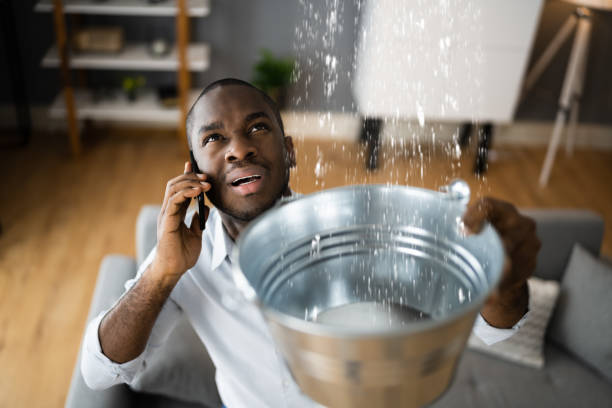 Best 24/7 water damage repair  in Topaz Ranch Estates, NV