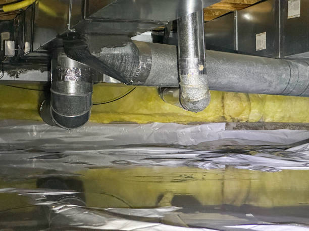 Best Mold removal after water damage  in Topaz Ranch Estates, NV