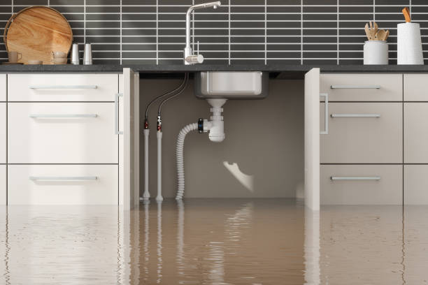  Topaz Ranch Estates, NV Water damage restoration Pros