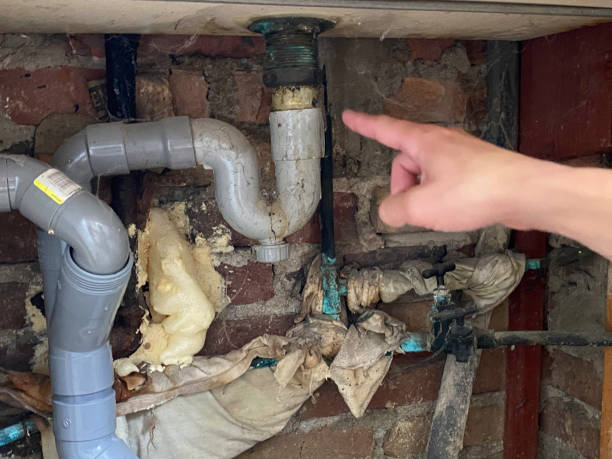 Best Water damage restoration near me  in Topaz Ranch Estates, NV